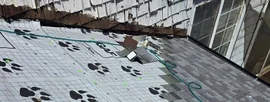 Roofing project