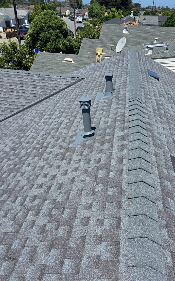 Shingle Roofing